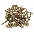 Power Point Stud Boy Studs